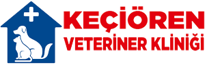 biVet